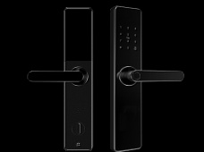 青松沃德-Wi-Fi 指紋鎖家用防盜門智能門鎖密碼鎖刷卡電子鎖 防磁干擾 防撬 L9-WT (不含鎖體，鎖體需另購(gòu)）